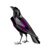 Sponsor: Raven & Writing Desk